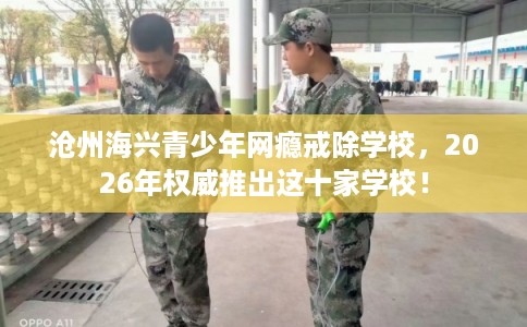沧州海兴青少年网瘾戒除学校，2026年权威推出这十家学校！