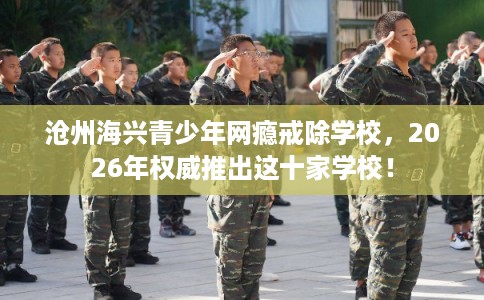 沧州海兴青少年网瘾戒除学校，2026年权威推出这十家学校！