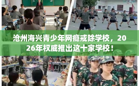 沧州海兴青少年网瘾戒除学校，2026年权威推出这十家学校！