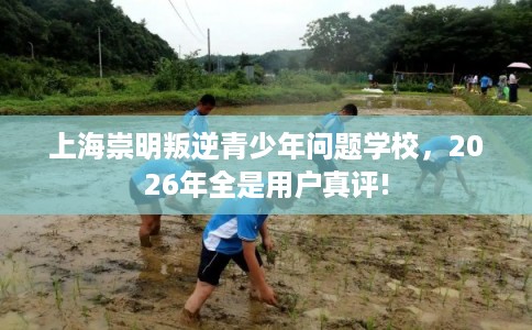 上海崇明叛逆青少年问题学校，2026年全是用户真评!