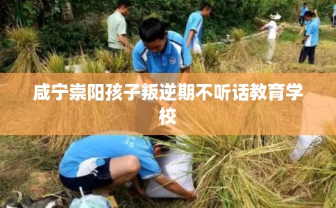 咸宁崇阳孩子叛逆期不听话教育学校
