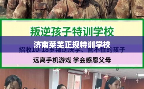 济南莱芜正规特训学校