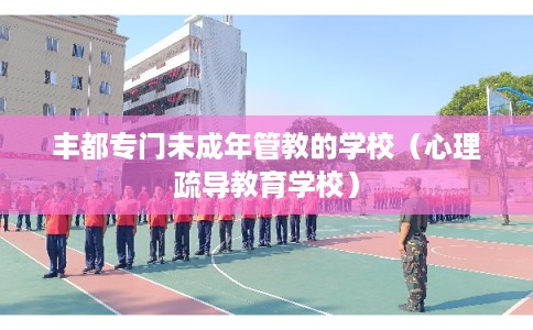 丰都专门未成年管教的学校（心理疏导教育学校）