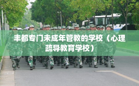 丰都专门未成年管教的学校（心理疏导教育学校）