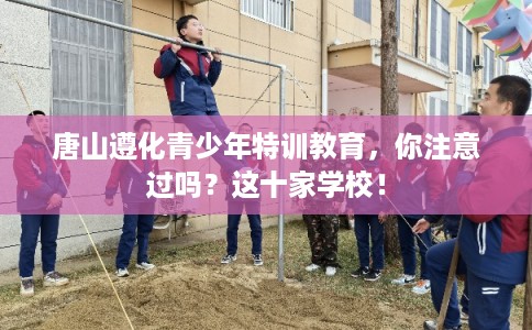 唐山遵化青少年特训教育，你注意过吗？这十家学校！