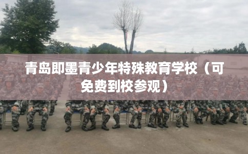 青岛即墨青少年特殊教育学校(可免费到校参观) 青岛即墨青少年特殊教育学校(可免费到校参观)