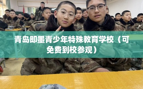 青岛即墨青少年特殊教育学校(可免费到校参观) 青岛即墨青少年特殊教育学校(可免费到校参观)