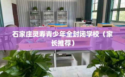 石家庄灵寿青少年全封闭学校（家长推荐）