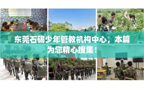 东莞石碣少年管教机构中心，本篇为您精心搜集！