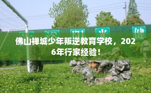 佛山禅城少年叛逆教育学校，2026年行家经验！