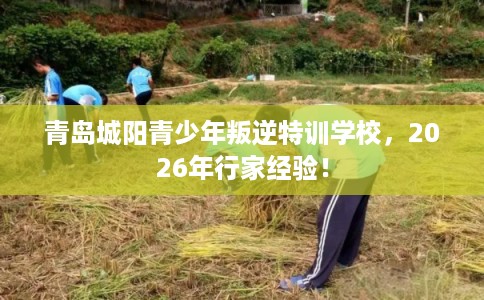 青岛城阳青少年叛逆特训学校，2026年行家经验！