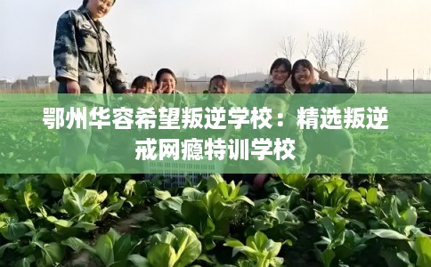 鄂州华容希望叛逆学校：精选叛逆戒网瘾特训学校