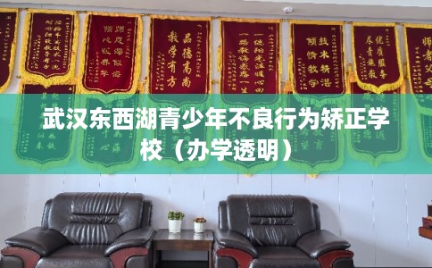 武汉东西湖青少年不良行为矫正学校（办学透明）