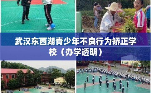 武汉东西湖青少年不良行为矫正学校（办学透明）
