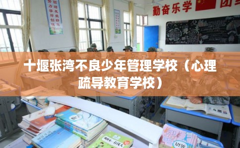 十堰张湾不良少年管理学校（心理疏导教育学校）