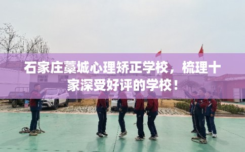 石家庄藁城心理矫正学校，梳理十家深受好评的学校！