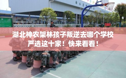 湖北神农架林孩子叛逆去哪个学校严选这十家！快来看看！