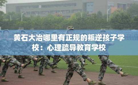 黄石大冶哪里有正规的叛逆孩子学校：心理疏导教育学校