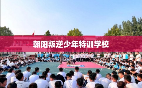 朝阳叛逆少年特训学校