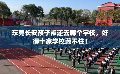 东莞长安孩子叛逆去哪个学校，好得十家学校藏不住！