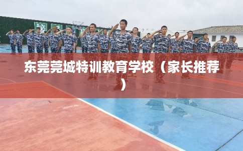 东莞莞城特训教育学校(家长推荐) 东莞莞城特训教育学校(家长推荐)