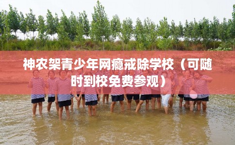 神农架青少年网瘾戒除学校（可随时到校免费参观）