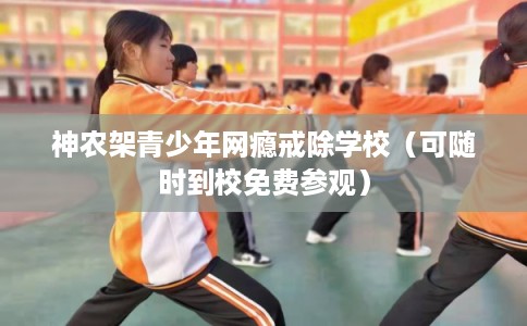 神农架青少年网瘾戒除学校（可随时到校免费参观）