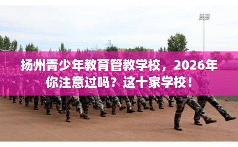 扬州青少年教育管教学校，2026年你注意过吗？这十家学校！