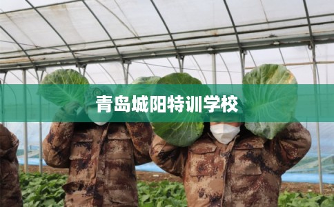 青岛城阳特训学校