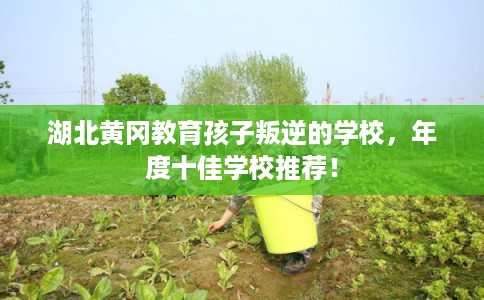 湖北黄冈教育孩子叛逆的学校，年度十佳学校推荐！