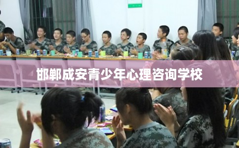 邯郸成安青少年心理咨询学校 邯郸成安青少年心理咨询学校