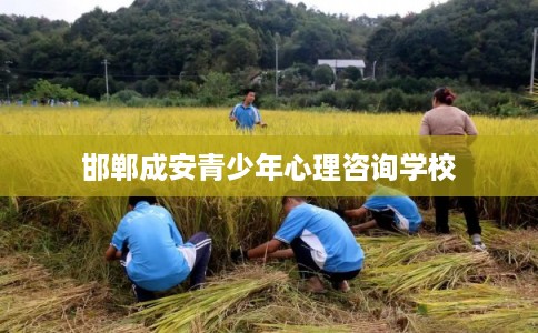 邯郸成安青少年心理咨询学校