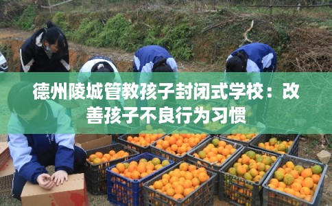 德州陵城管教孩子封闭式学校：改善孩子不良行为习惯