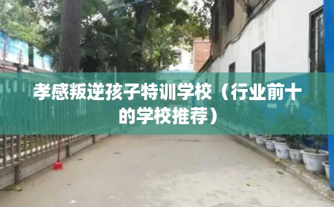 孝感叛逆孩子特训学校（行业前十的学校推荐）