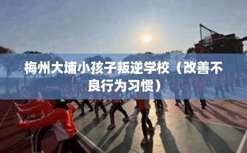 梅州大埔小孩子叛逆学校（改善不良行为习惯）