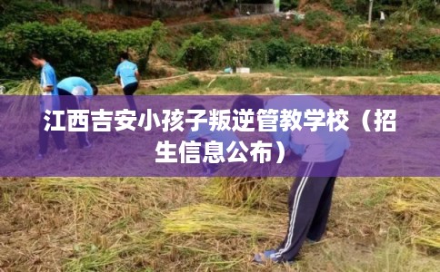 江西吉安小孩子叛逆管教学校(招生信息公布) 江西吉安小孩子叛逆管教学校(招生信息公布)