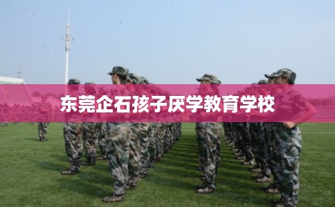 东莞企石孩子厌学教育学校