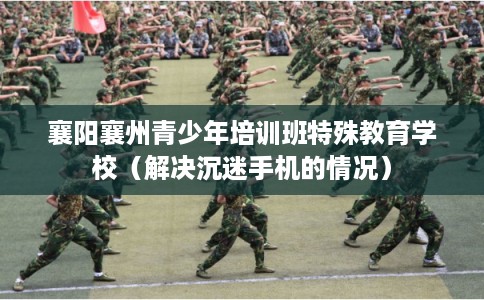 襄阳襄州青少年培训班特殊教育学校（解决沉迷手机的情况）