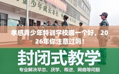 孝感青少年特训学校哪一个好，2026年你注意过吗！