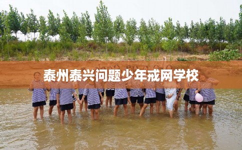 泰州泰兴问题少年戒网学校