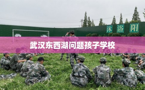 武汉东西湖问题孩子学校