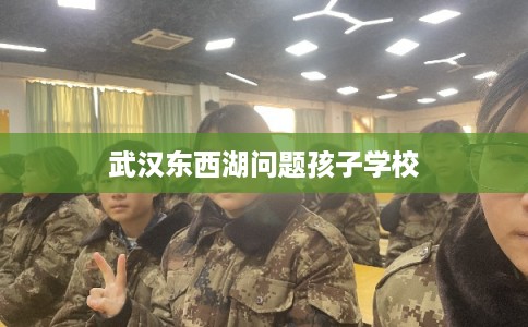 武汉东西湖问题孩子学校