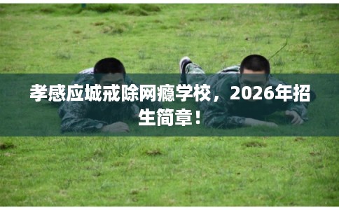 孝感应城戒除网瘾学校，2026年招生简章！