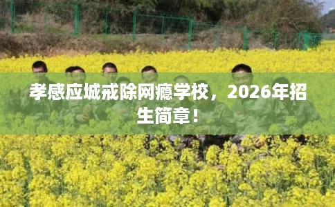 孝感应城戒除网瘾学校，2026年招生简章！