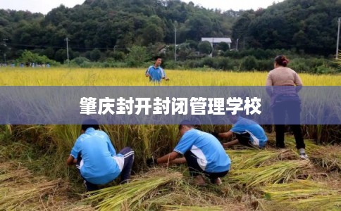 肇庆封开封闭管理学校