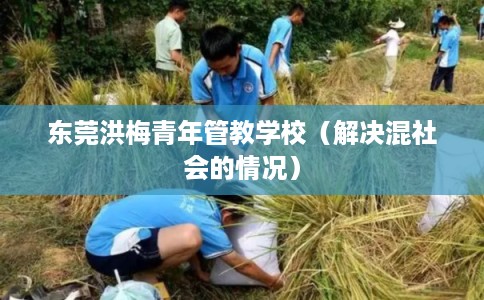 东莞洪梅青年管教学校（解决混社会的情况）