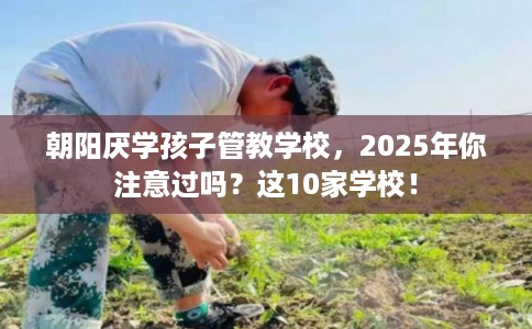 朝阳厌学孩子管教学校，2025年你注意过吗？这10家学校！