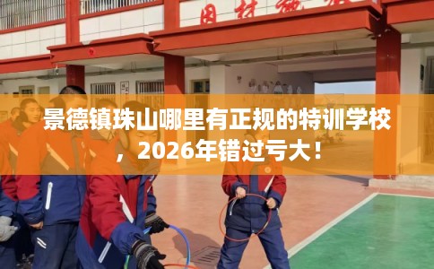 景德镇珠山哪里有正规的特训学校，2026年错过亏大！
