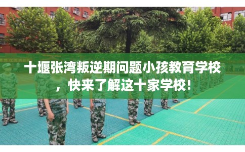 十堰张湾叛逆期问题小孩教育学校，快来了解这十家学校!