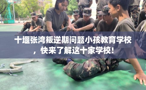 十堰张湾叛逆期问题小孩教育学校，快来了解这十家学校!